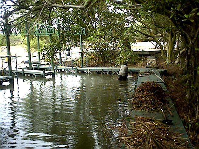 Piscícolas acuicultura tecnificada piscicultura 2015 estructuras piscicultura en jaulas y corrales sistema de jaulas flotantes fijas jaulas sumergidas estructuras acuicultura en tierra firme estanques lago ro mar lagunas estanques en tierra represas presas 00213 Piscícolas acuicultura tecnificada piscicultura 2015 estructuras piscicultura en jaulas y corrales sistema de jaulas flotantes fijas jaulas sumergidas estructuras acuicultura en tierra firme estanques lago ro mar lagunas estanques en tierra represas presas 00546 Piscícolas acuicultura tecnificada piscicultura 2015 estructuras piscicultura en jaulas y corrales sistema de jaulas flotantes fijas jaulas sumergidas estructuras acuicultura en tierra firme estanques lago ro mar lagunas estanques en tierra represas presas 00879 Piscícolas acuicultura tecnificada piscicultura 2015 estructuras piscicultura en jaulas y corrales sistema de jaulas flotantes fijas jaulas sumergidas estructuras acuicultura en tierra firme estanques lago ro mar lagunas estanques en tierra represas presas 00